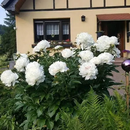 Birkenhain