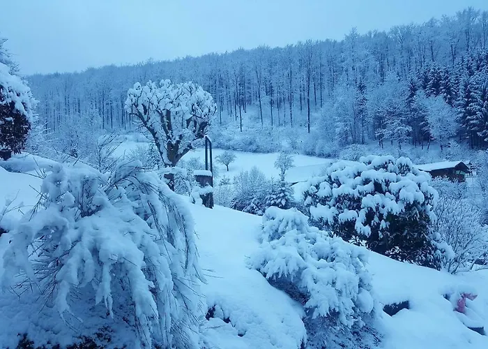 別荘 Birkenhain Stolberg i. Harz